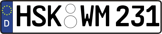 HSK-WM231