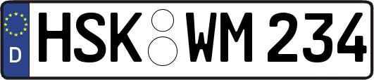 HSK-WM234