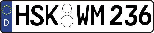 HSK-WM236