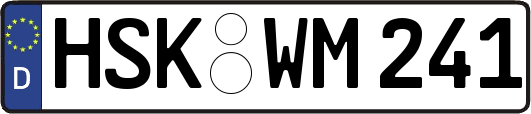 HSK-WM241