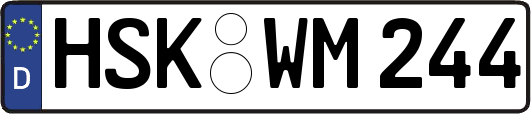 HSK-WM244