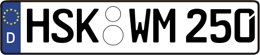 HSK-WM250