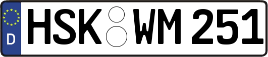 HSK-WM251