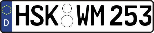 HSK-WM253