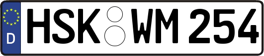 HSK-WM254
