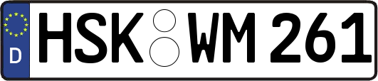 HSK-WM261
