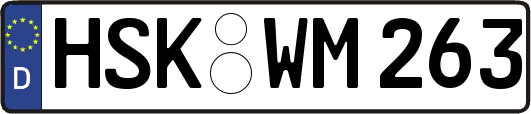 HSK-WM263