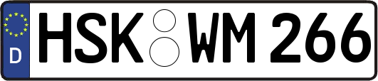 HSK-WM266
