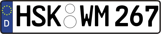 HSK-WM267