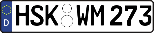 HSK-WM273