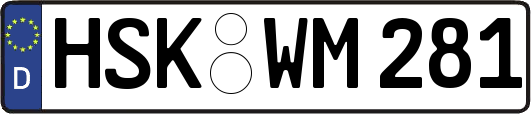 HSK-WM281