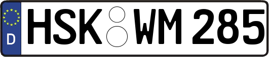 HSK-WM285