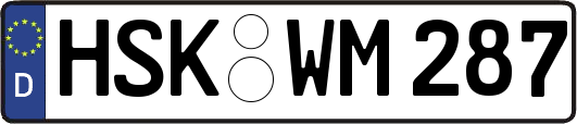 HSK-WM287