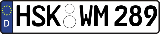 HSK-WM289