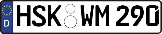 HSK-WM290