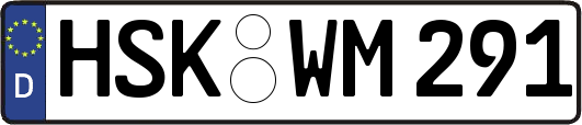 HSK-WM291