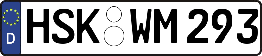 HSK-WM293