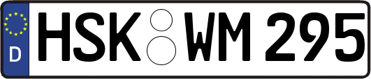 HSK-WM295