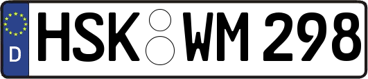 HSK-WM298