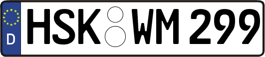 HSK-WM299