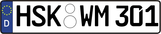 HSK-WM301