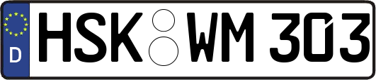HSK-WM303