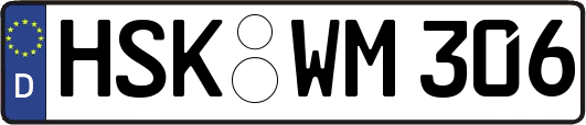 HSK-WM306
