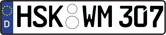 HSK-WM307