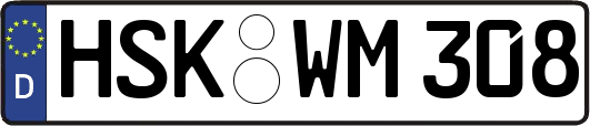 HSK-WM308