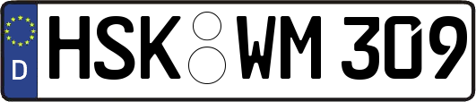 HSK-WM309
