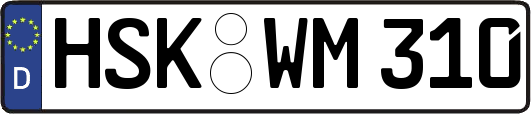 HSK-WM310