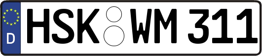 HSK-WM311