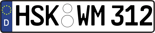 HSK-WM312