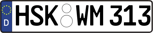 HSK-WM313