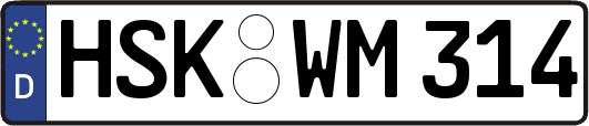 HSK-WM314