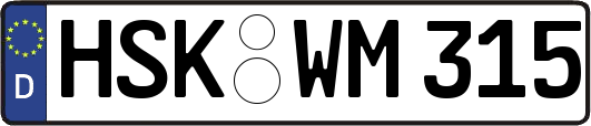 HSK-WM315