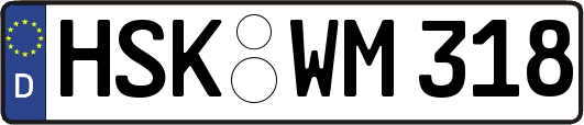 HSK-WM318
