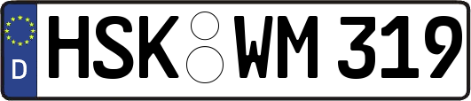 HSK-WM319
