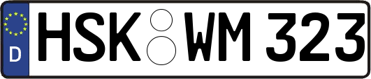 HSK-WM323