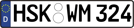HSK-WM324