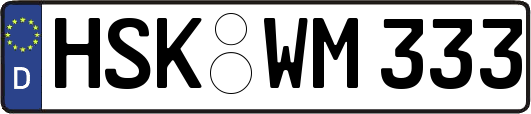 HSK-WM333