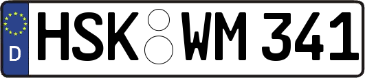 HSK-WM341