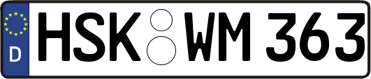 HSK-WM363