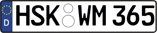 HSK-WM365