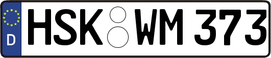 HSK-WM373