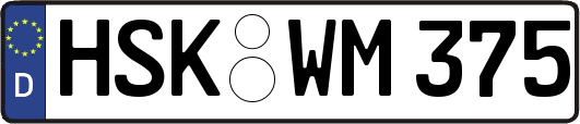 HSK-WM375