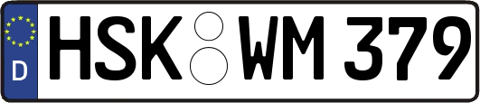 HSK-WM379