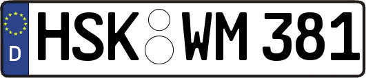 HSK-WM381
