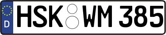 HSK-WM385