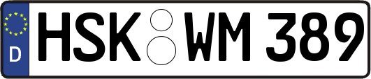 HSK-WM389